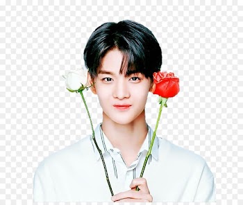 Produce 101 Wanna One South Korea Korean language - bae streamer 