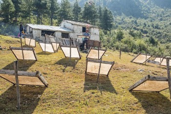 Producing Lokta bark paper, Kailash, | Free Photo - rawpixel