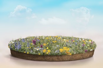 Product backdrop, 3D green grass | Free Photo - rawpixel