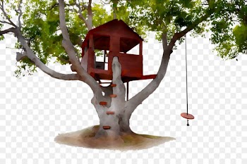Product design Branching -  