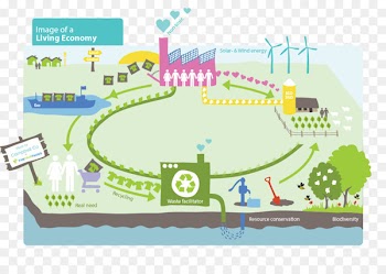 Product design Business process Economy - social sustainability 