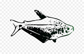 Product design Car Fish Automotive design -  