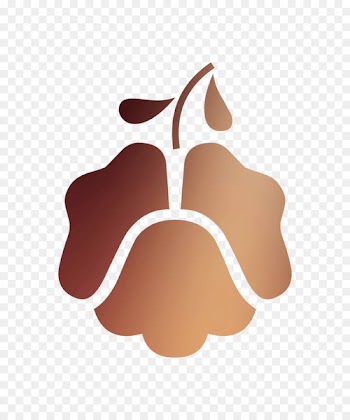 Product design Clip art Fruit -  