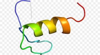 Product design Clip art Line - aavp7 a1 