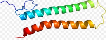 Product design Clip art Line - fyi 