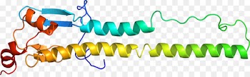 Product design Clip art Organism Line - d6 