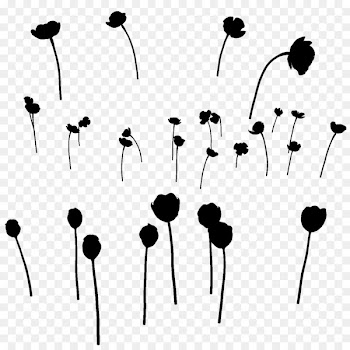 Product design Headphones Flower Graphics -  