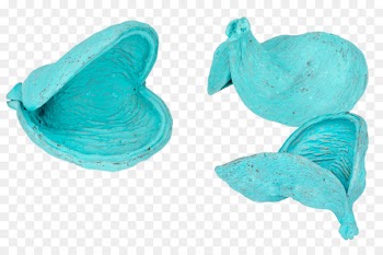 Product design Plastic - badam watercolor 