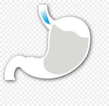 Product design Thumb Clip art - gerd ecommerce 