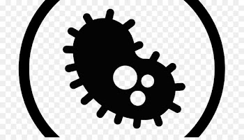 Product Marketing Sales MBAF Cell culture - bacterial flyer 