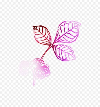 Product Pink M Line Font RTV Pink -  