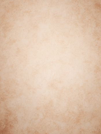 Professional Beige Studio Backdrop