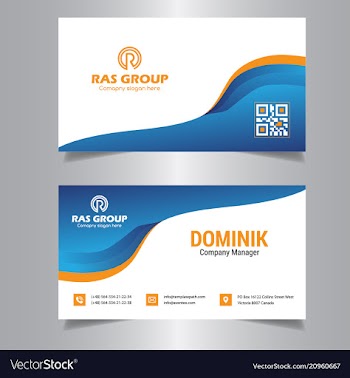 Professional business card vector image