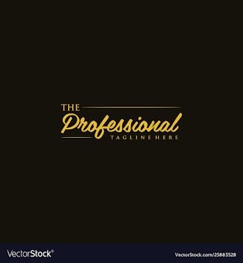 Professional creative brand text logo design vector image