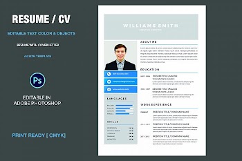 Professional  Resume
