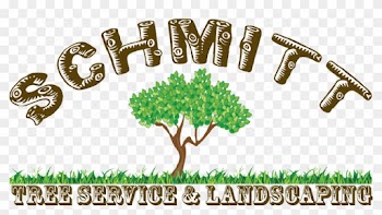 Professional Tree Removal And Landscaping Services - Tree Service And Landscaping Clipart