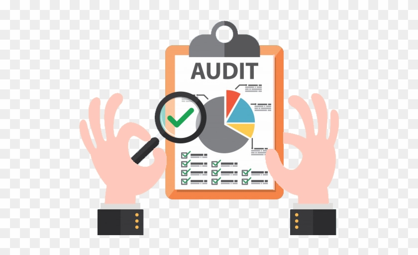 Professional Virtual Audit Services - Audit Illustration