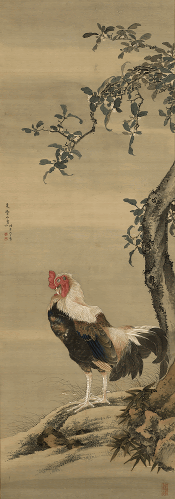 profile of rooster in lower | Free Photo - rawpixel