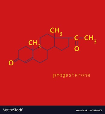 Progesterone molecule structure biochemistry and vector image