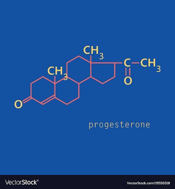Progesterone molecule structure biochemistry and vector image