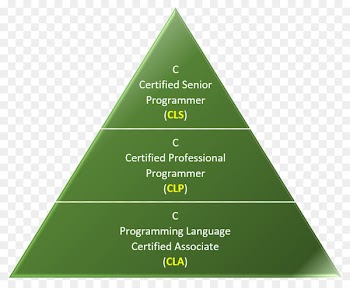 Programming Language, Sustainable Development, Sustainability, Green, Leaf PNG
