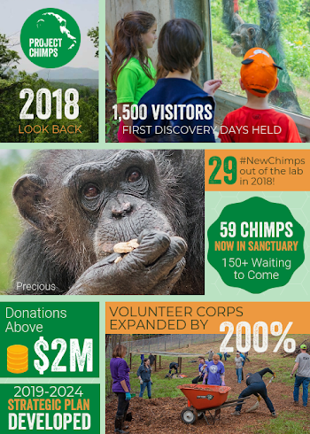 Project Chimps 2018 Look Back (1) - Project Chimps