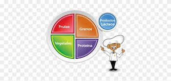 Project Of Food Plate