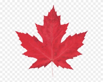 Proudly Canadian - Le Maple Leaf Bistrot Montevideo