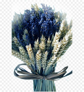 Provence Flower bouquet Bride Wedding - Flowers purple wheat flower 