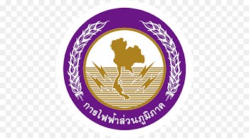 Provincial Electricity Authority Wang Noi District Metropolitan Electricity Authority Organization - pea 