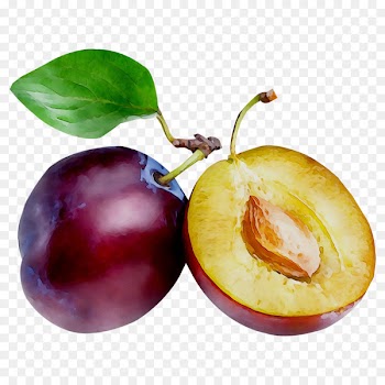 Prune Peach Fruit Clip art Healthy diet -  
