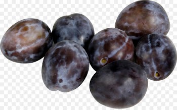 Prunus nigra Fruit Wholesale Armenian plum -  