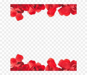 Pétalas Vermelho Transparente Moldura Png E Psd Livre - Tomato Clipart Border