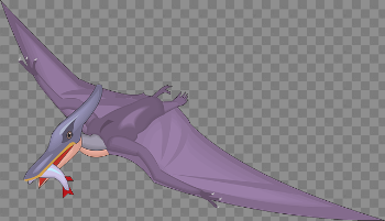 Pterosaurs