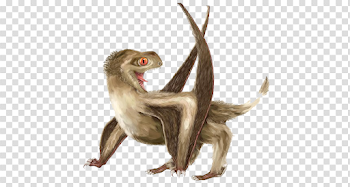 Pterosaurs PNG Pic