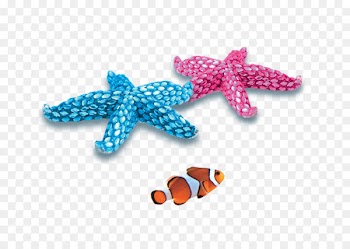 PTT Bulletin Board System Beach Blue u9633u5149u6c99u6ee9 Green - starfish 