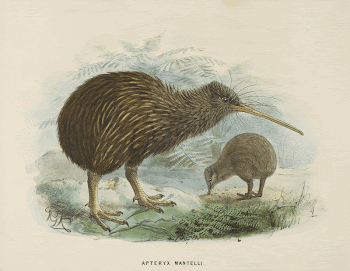 Public domain image from Museum | Free Photo - rawpixel
