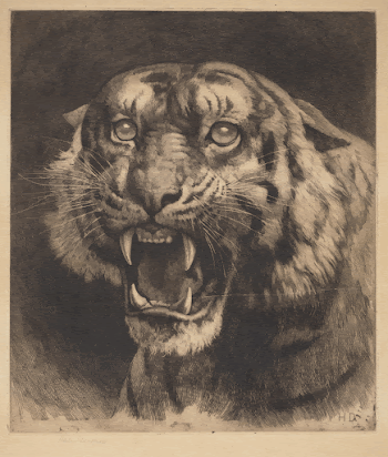 Public domain image from Museum | Free Photo - rawpixel
