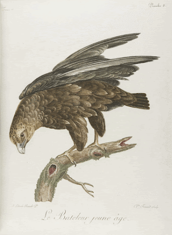 Public domain image from the Beinecke | Free Photo - rawpixel