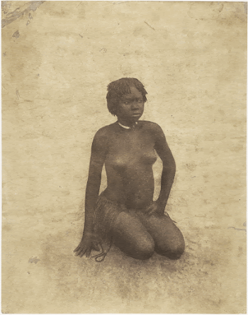 Public domain image from The | Free Photo - rawpixel