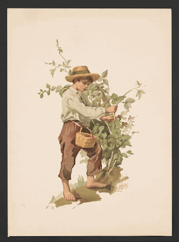 Public domain image from the Library | Free Photo - rawpixel