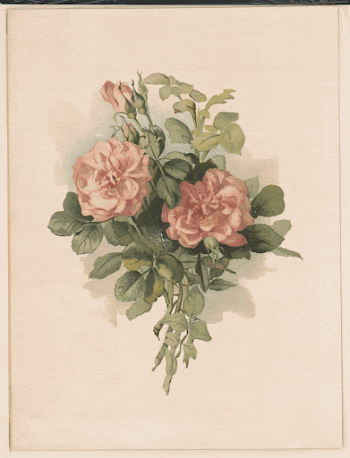 Public domain image from the Library | Free Photo - rawpixel
