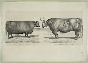 Public domain image from the Library | Free Photo - rawpixel