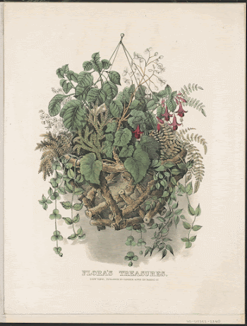 Public domain image from the Library | Free Photo - rawpixel