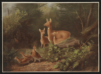 Public domain image from the Library | Free Photo - rawpixel
