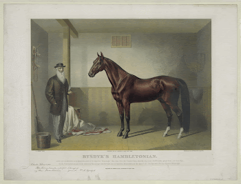 Public domain image from the Library | Free Photo - rawpixel