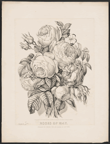 Public domain image from the Library | Free Photo - rawpixel