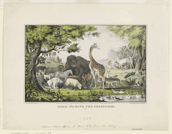 Public domain image from the Library | Free Photo - rawpixel