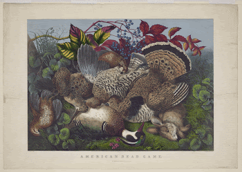Public domain image from the Library | Free Photo - rawpixel