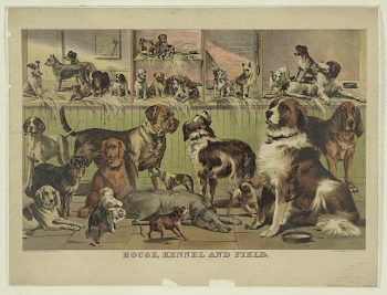 Public domain image from the Library | Free Photo - rawpixel